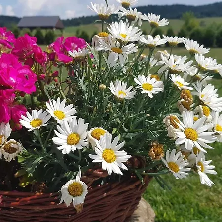 Malowane Wierchy Bed & Breakfast 3*