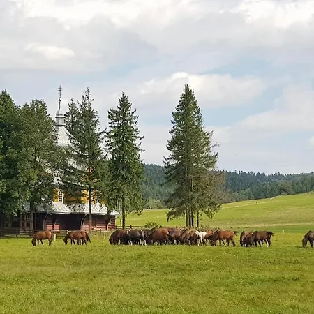 Bed & Breakfast Malowane Wierchy