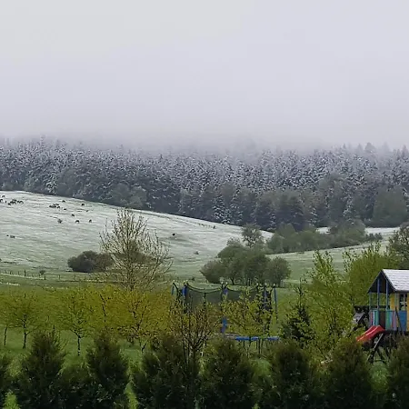 Bed & Breakfast Malowane Wierchy Gladyszow