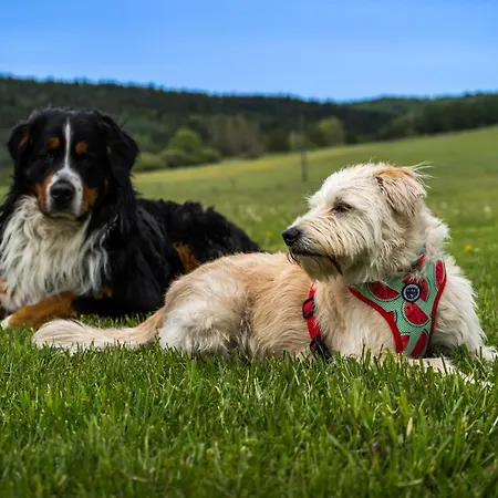 לינה וארוחת בוקר Malowane Wierchy 3*