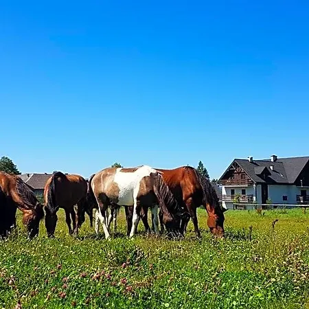 Malowane Wierchy Nocleg ze śniadaniem