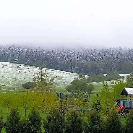 Bed & Breakfast Malowane Wierchy Gladyszow