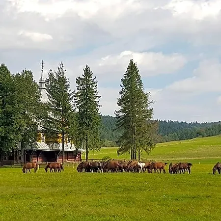 Nocleg ze śniadaniem Malowane Wierchy Gladyszow