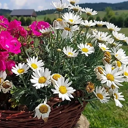 Nocleg ze śniadaniem Malowane Wierchy