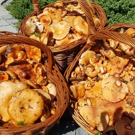 Malowane Wierchy Gladyszow