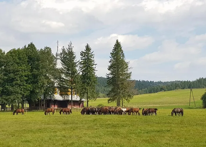 לינה וארוחת בוקר Malowane Wierchy