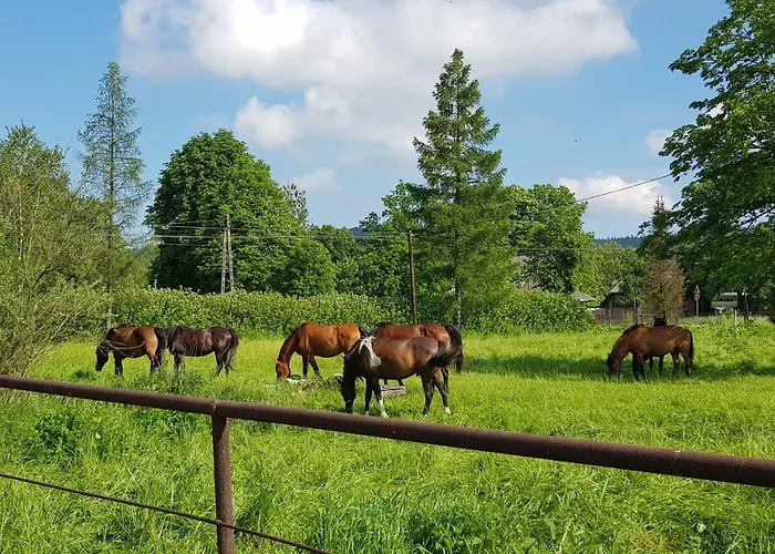 Malowane Wierchy לינה וארוחת בוקר Gladyszow