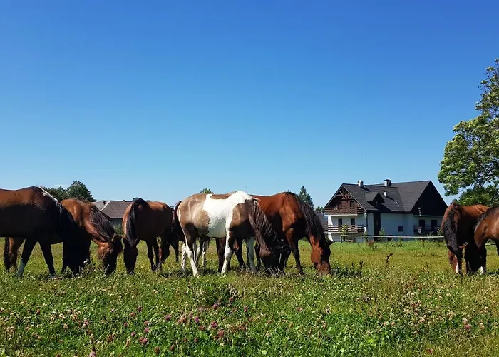 לינה וארוחת בוקר Malowane Wierchy