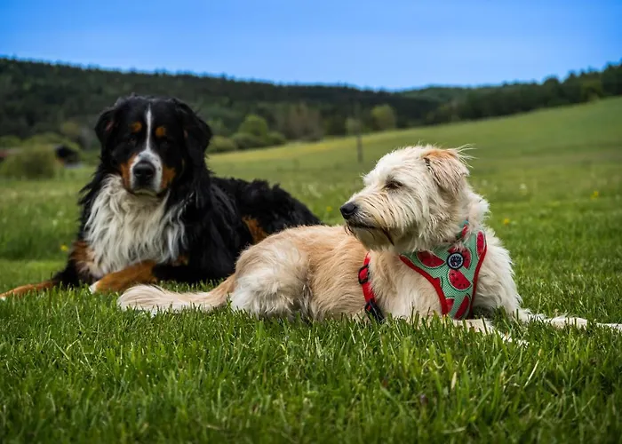 לינה וארוחת בוקר Malowane Wierchy 3*