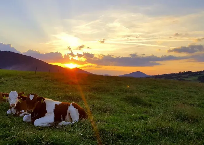 Malowane Wierchy לינה וארוחת בוקר 3*