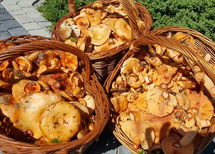 Malowane Wierchy Gladyszow